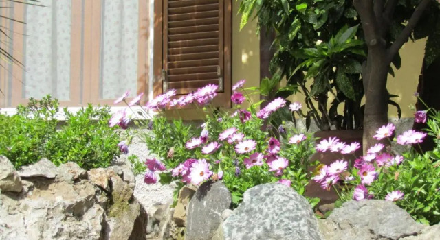 Номер Deluxe Glam Resort Villa Maria Luigia
