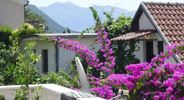 Sofaletta Apartments