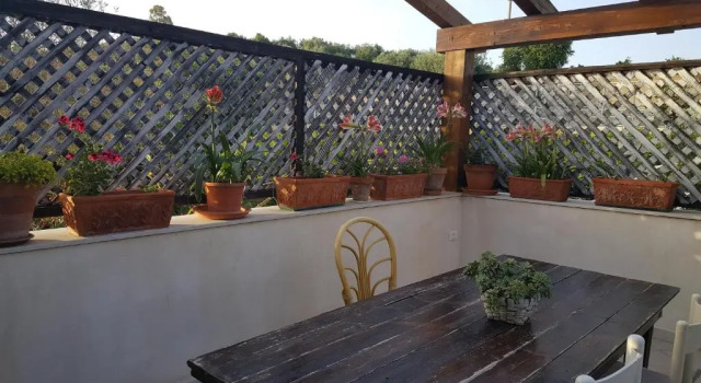 Двухместный номер Standard Teodora House