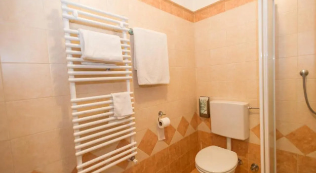 Camera singola Standard Hotel Pejo