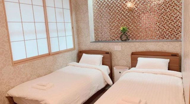 Номер Deluxe Allcomein Hotel Akihabara