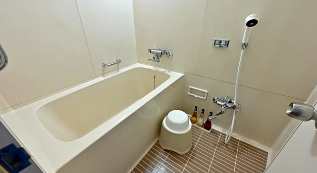 Номер Economy Lake Biwa Otsu Prince Hotel