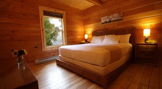 Коттедж Mount Princeton Hot Springs Resort