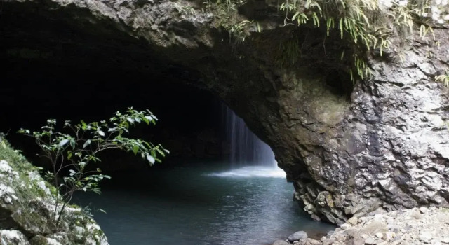 The Sanctuary at Springbrook, Κράτηση Ξενοδοχείο Springbrook Χρυσή Ακτή