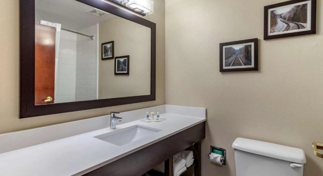 Четырёхместный люкс c 1 комнатой Comfort Suites near Robins Air Force Base