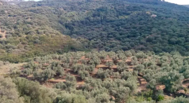 Guesthouse Kamara, Prenota Affittacamere Hotel a Peloponneso con parcheggio, Parcheggio