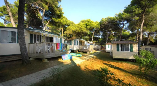 Номер Standard Arena Indije Mobile Homes