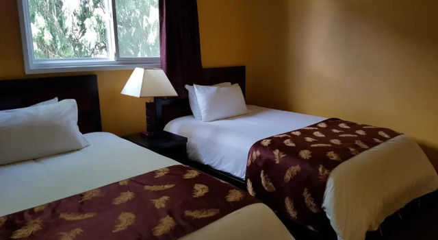 Люкс c 1 комнатой Alpine Inn & Suites