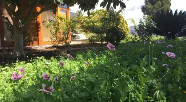 Finca Madrugada, Забронировать Отель Санта-Круз-де-ла-Пальма Пальма