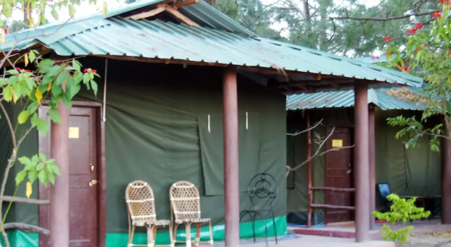 Тент Park Woods Shoghi