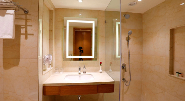 Двухместный номер Superior Nataraj Sarovar Portico