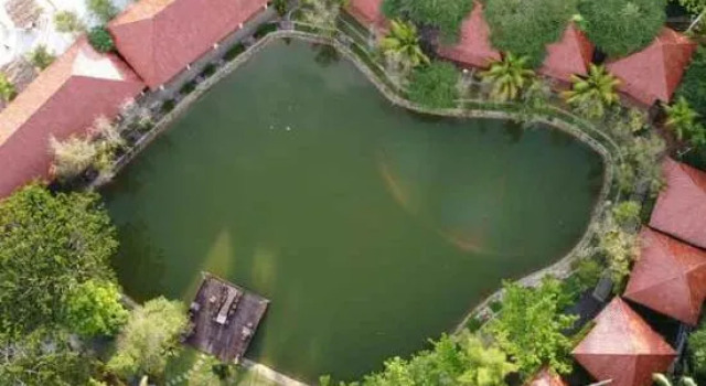 Dayang Resort, Réserver Complexe hôtelier Hôtels resort à Kalimantan, Complexe hôtelier