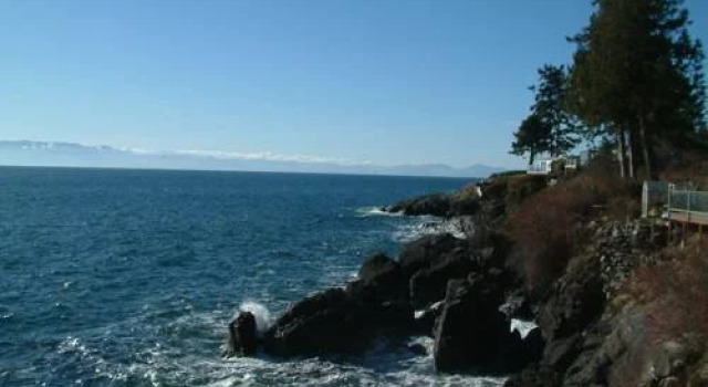 Orca View Cottage, Book Feriehus Otter Point Britisk Columbia