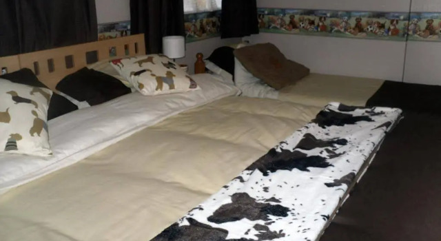 Seashells Guest House, Забронировать Гостевой дом Грейт-Ярмут The Broads, рядом с Аквариум Sea Life