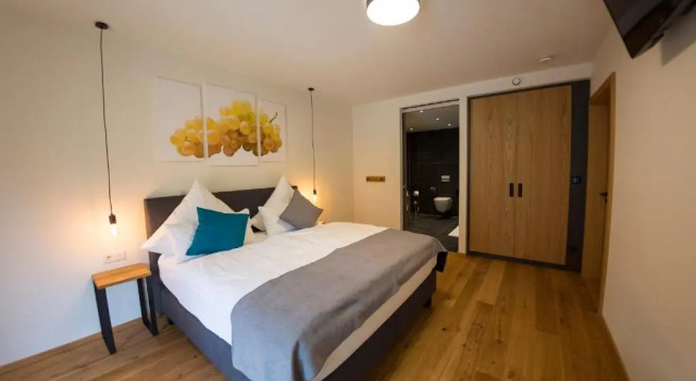 Двухместный номер Standard Rieslingquartier - Mosel Wein Hotel