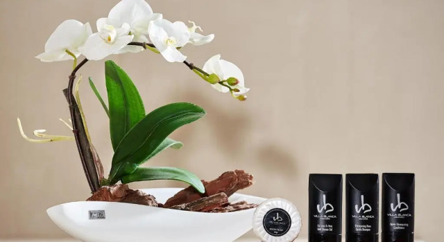 Двухместный номер Executive с видом на море Villa Blanca Urban Hotel
