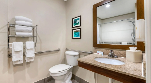Двухместный люкс Comfort Inn & Suites Wildwood - The Villages