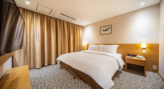 Люкс Business Hotel Biz Inn