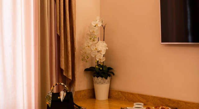 Двухместный люкс с видом на сад Impero Vaticano Suites Guest House