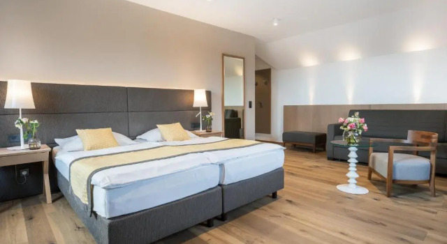 Двухместный номер Standard Hotel Turmhof