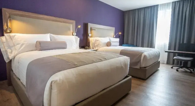 Двухместный номер Standard Sheraton Guadalajara Expo
