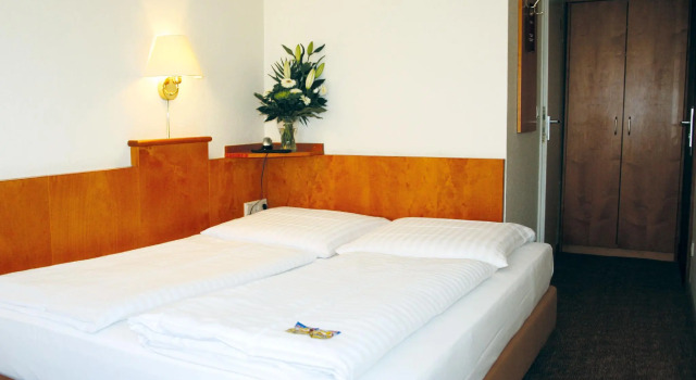 Двухместный номер Standard Hotel Ahl Meerkatzen