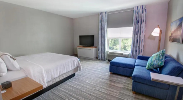 Двухместный номер Executive Hilton Garden Inn Tampa - Wesley Chapel