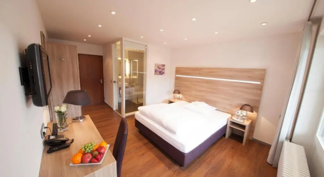 Одноместный номер Superior Hotel Restaurant Lamm