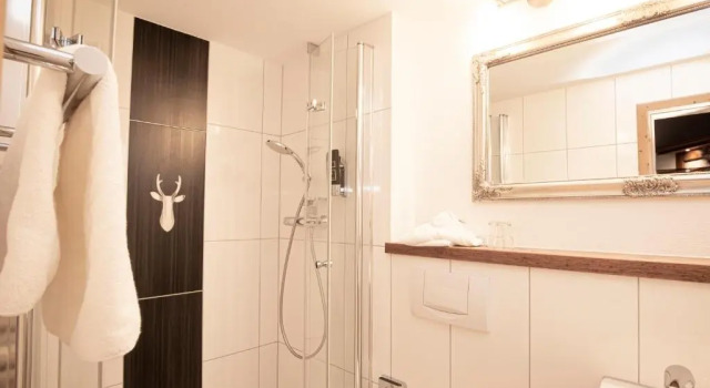 Апартаменты Deluxe Hotel-Gasthof Der Wiesengrund