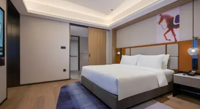 Люкс Executive Novotel Shanghai Hongqiao International Airport