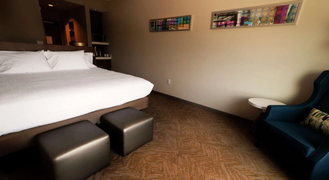 Hilton Garden Inn Dallas at Hurst Conference Center