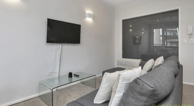 QV City central light filled Apt - 847