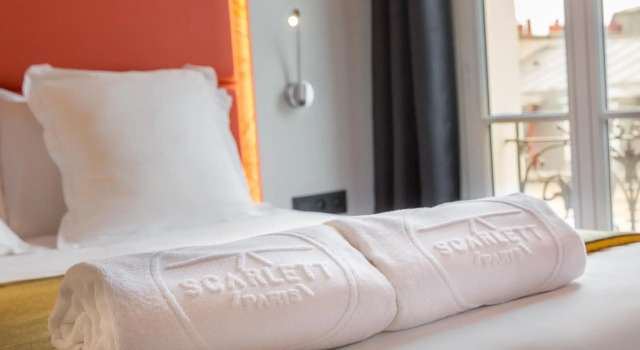 Двухместный номер Superior Hotel Scarlett