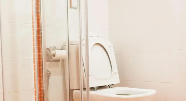 Студия с видом на сад Villa dIrene-near athens airport , 200 meters from the beach davis