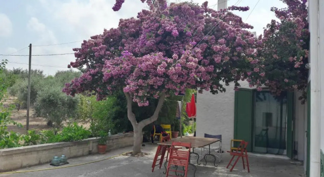 Коттедж Fra il Glicine e il Sambuco