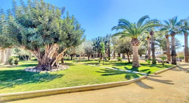 Jardines de Montemar II