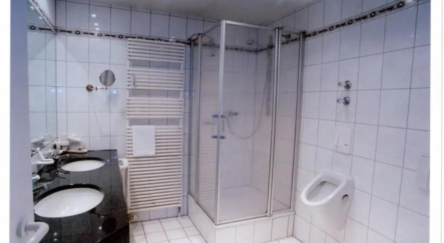 Номер Standard Hotel Wittlicher Hof