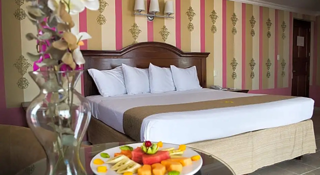 Junior suite Standard Hotel Plaza Colonial