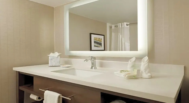 Двухместный номер Standard Holiday Inn San Antonio-Riverwalk by IHG