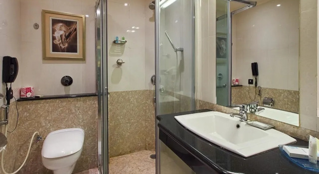 Номер Standard c 1 комнатой Royalton Hyderabad Abids