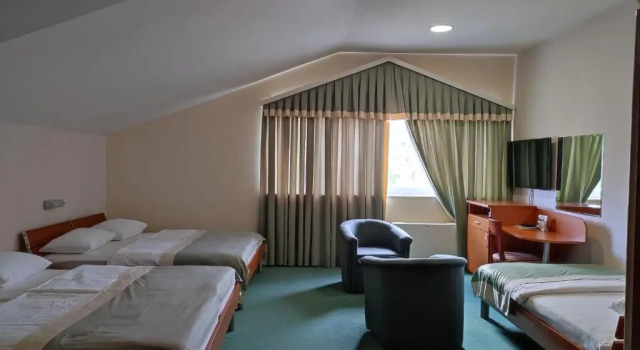 Номер Standard Hotel Bacchus