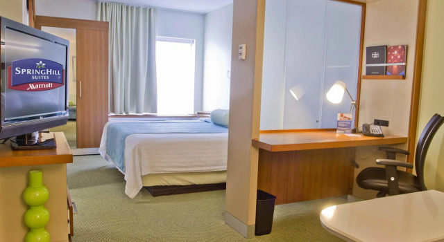 SpringHill Suites by Marriott Charlotte Ballantyne