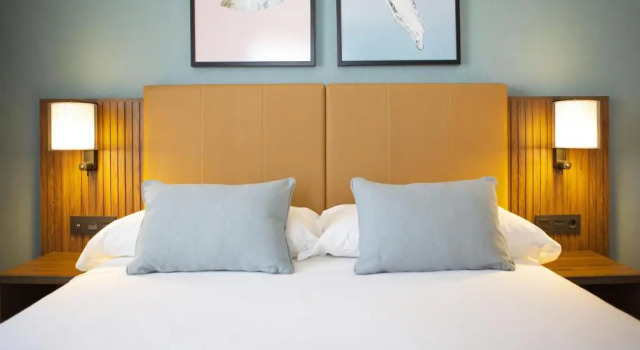 Двухместный номер с террасой Deluxe Riu Plaza España