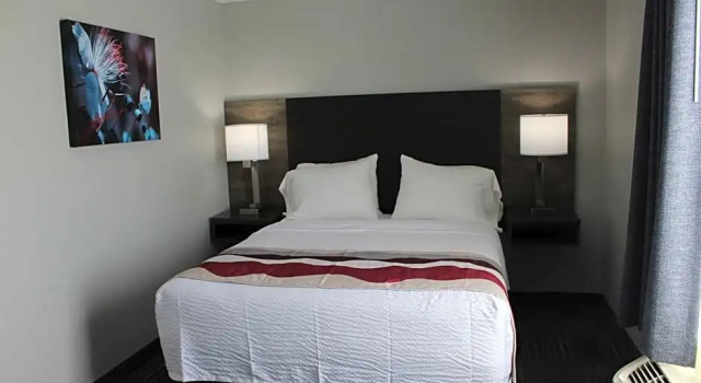 Люкс c 1 комнатой Best Western Medical Center North Inn & Suites Near Six Flags