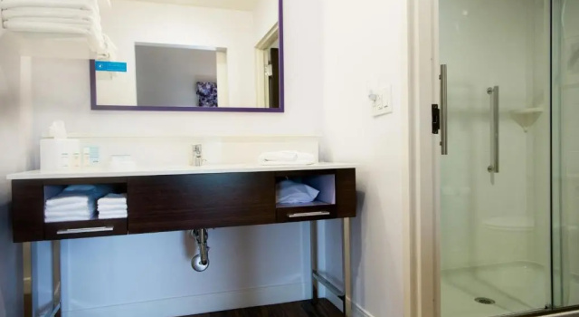 Люкс Hampton Inn & Suites Warrington Horsham