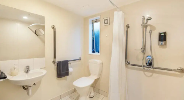 Двухместный люкс Standard c 1 комнатой Отель Daffodil Motel