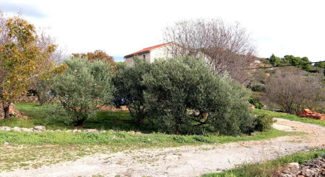 Apartment Zemarija