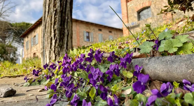 Il Cardello Locanda, Забронировать Отель Казола-Вальсенио Ravenna Area