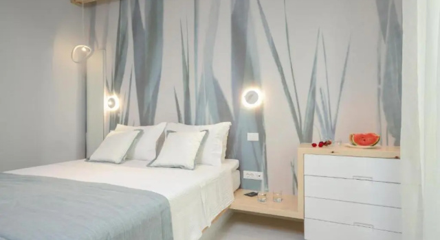 Одноместный номер Standard Цокольный этаж Antony Suites