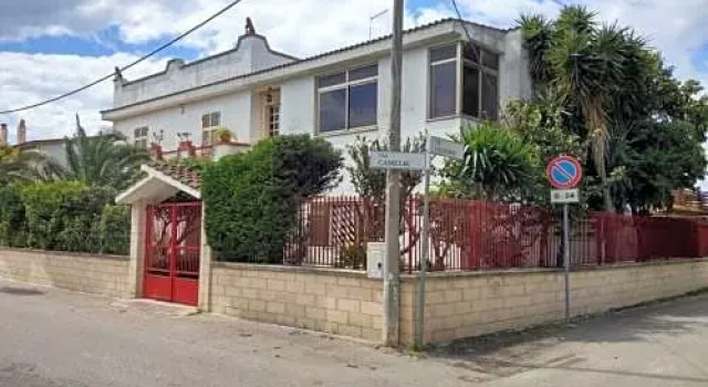 B&B Camelie